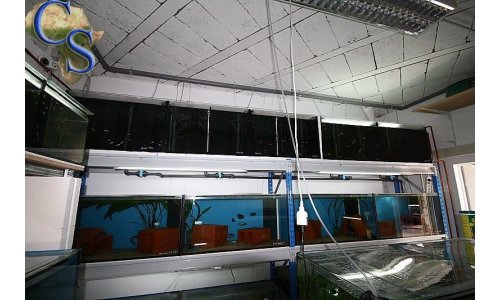 Zuchtraum 04.2011